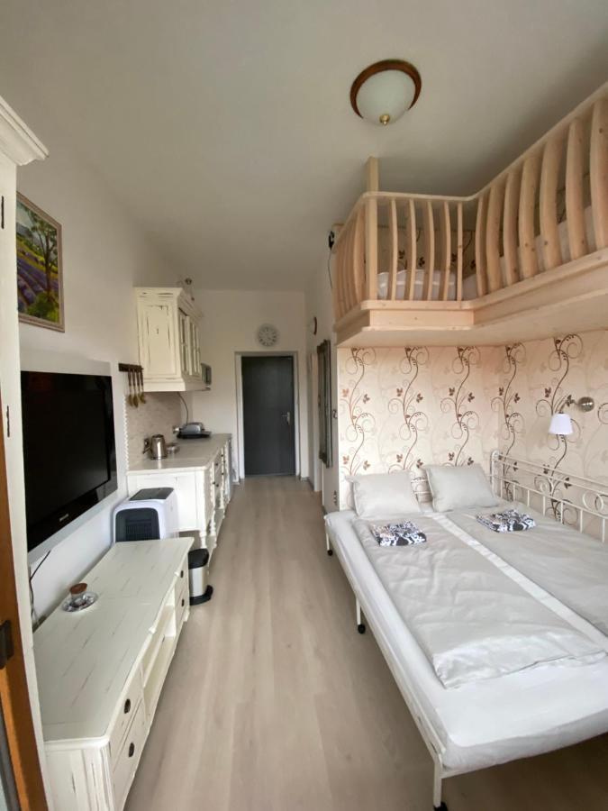 Apartman Slapy-Zdan Экстерьер фото